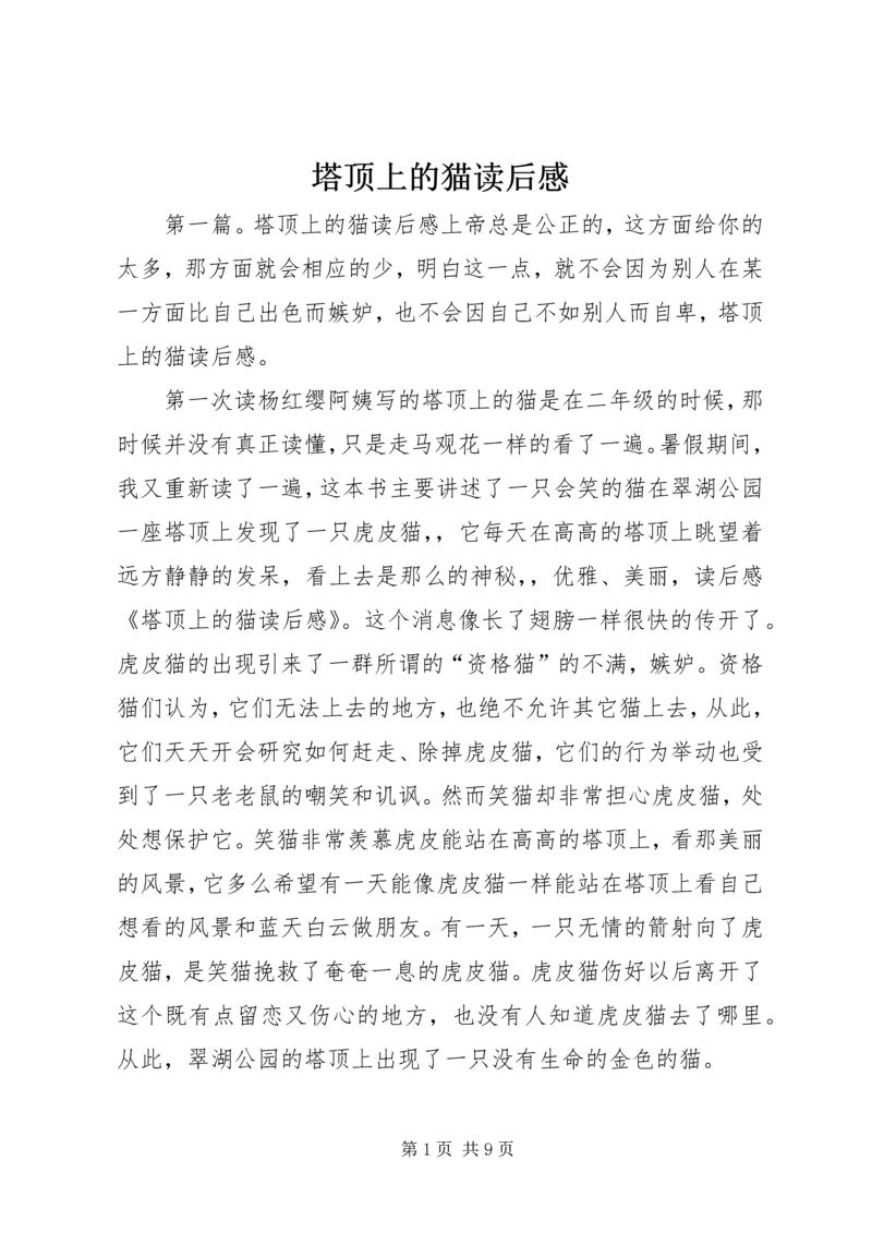 塔顶上的猫读后感 (2).docx