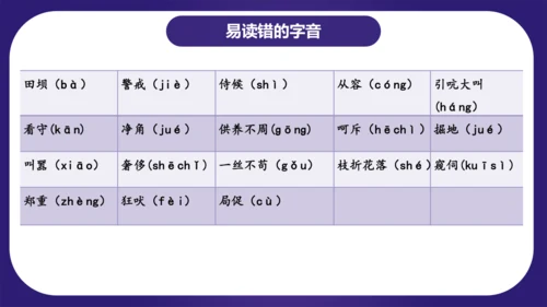 统编版四年级语文下学期期中核心考点集训第四单元（复习课件）