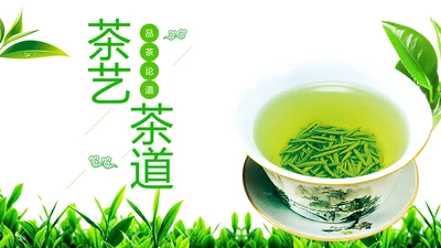 绿色唯美茶艺茶道茶园文化品茶论道PPT模板