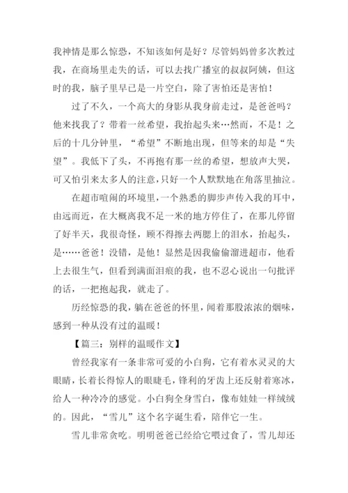 别样的温暖初三作文.docx