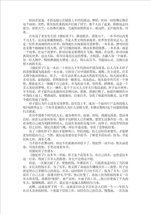 三毛流浪记读书心得范文600字赏析