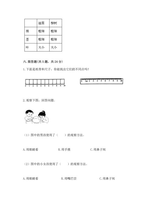 教科版科学一年级上册期末测试卷精品（黄金题型）.docx