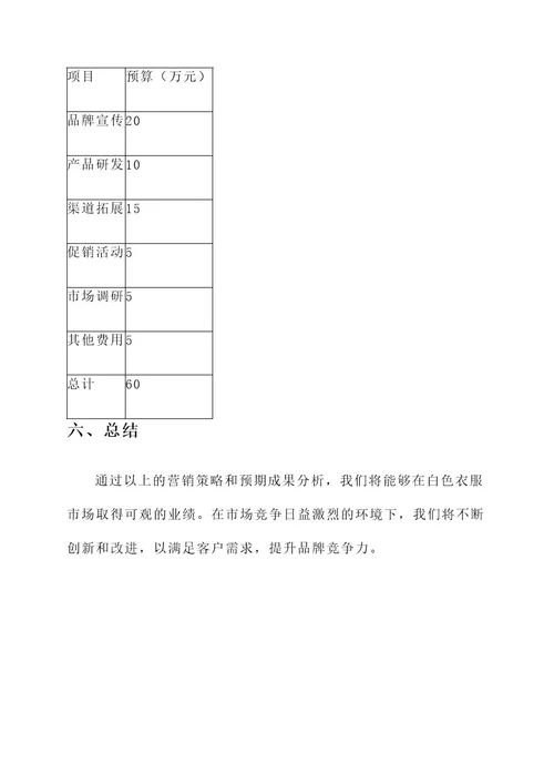 白色衣服营销方案策划书