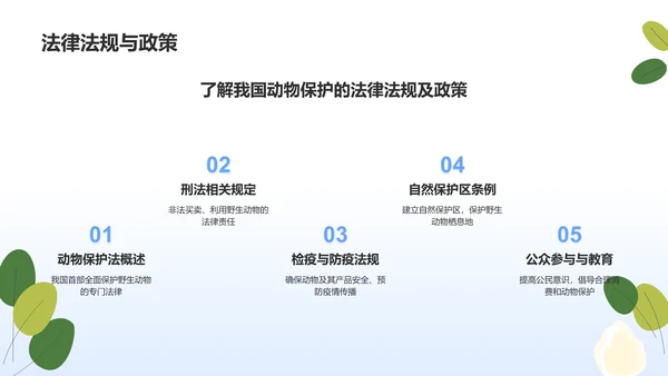 蓝色简约风动物保护知识科普PPT模板