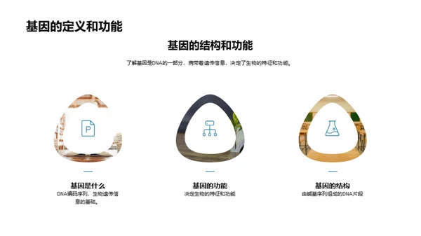 解读DNA：生命密码