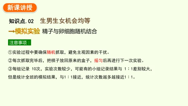 7.2.4人的性别遗传-八年级生物人教版下学期同步精品课件(共28张PPT)