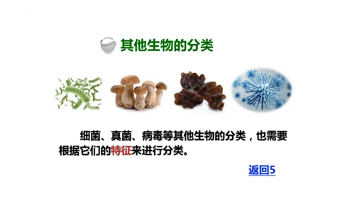 人教版生物七年级上册2.4.1《尝试对生物的分类》（教学课件）(共23张PPT)