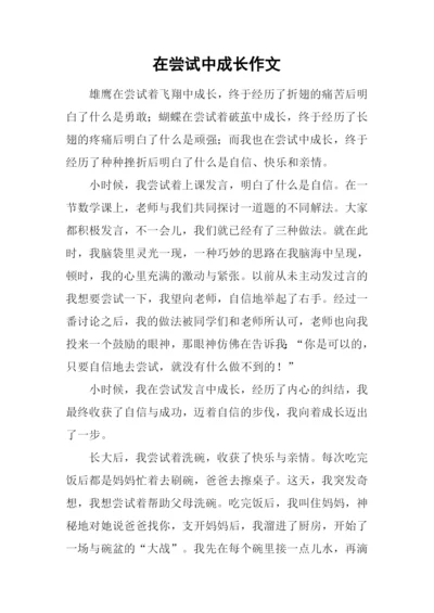 在尝试中成长作文-12.docx