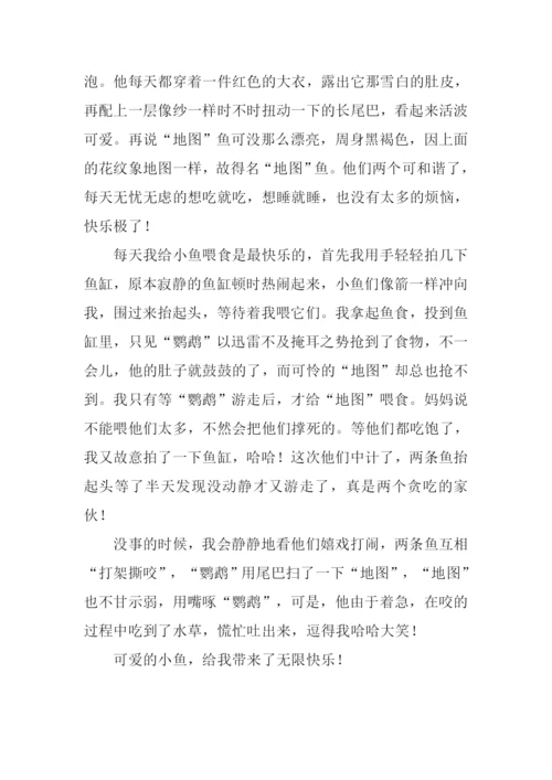 小学作文快乐的假日.docx
