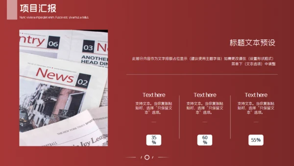 金融业投资者项目通用PPT模板