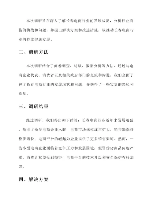 长春电商领导调研工作汇报