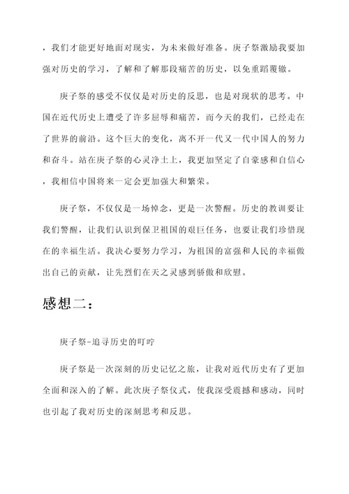 庚子祭的感想和感言