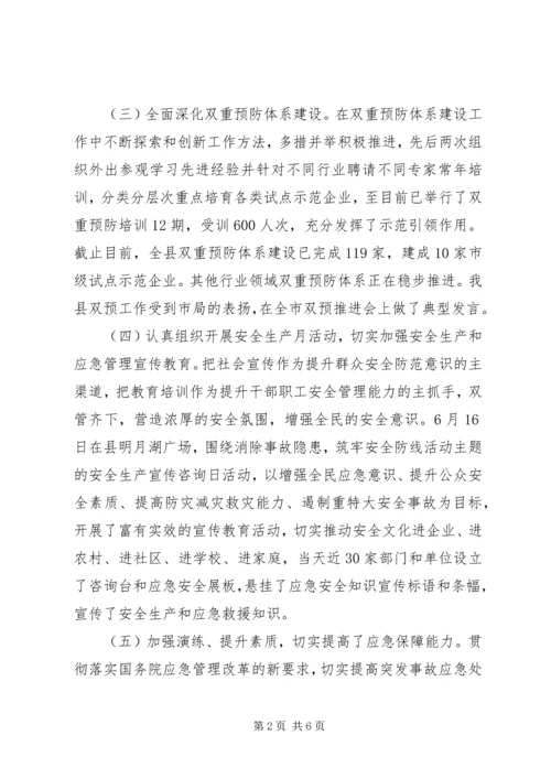 应急管理局XX年工作总结及XX年工作计划.docx