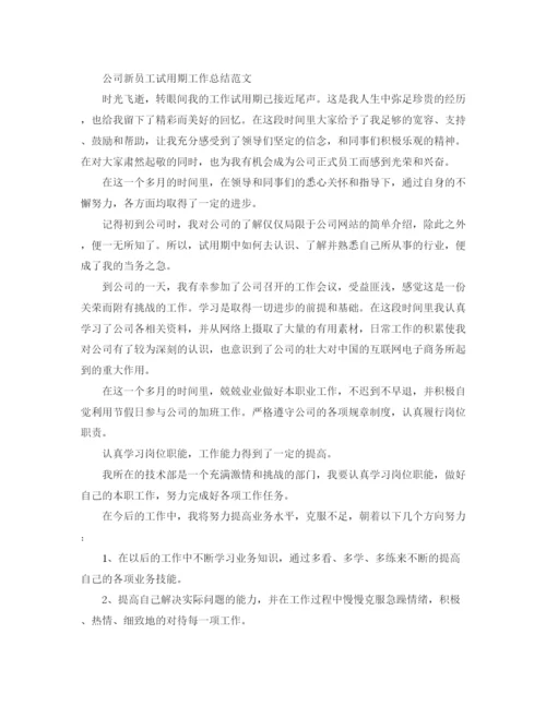 精编之公司新员工试用期的工作总结范文.docx