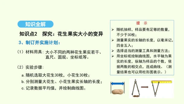 7.2.5生物的变异课件-人教版生物八年级下册(共28张PPT)
