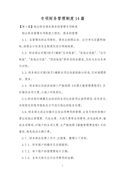 专项财务管理制度14篇.docx