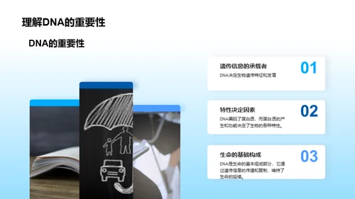 探秘生命密码：DNA