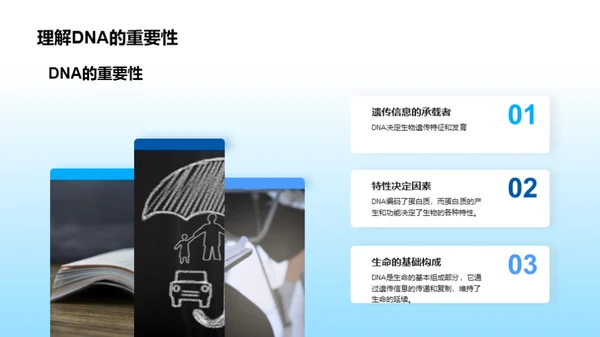 探秘生命密码：DNA