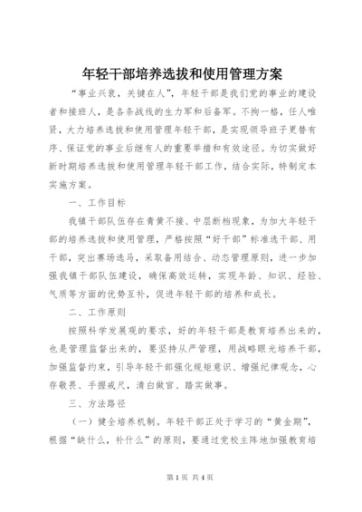 年轻干部培养选拔和使用管理方案.docx