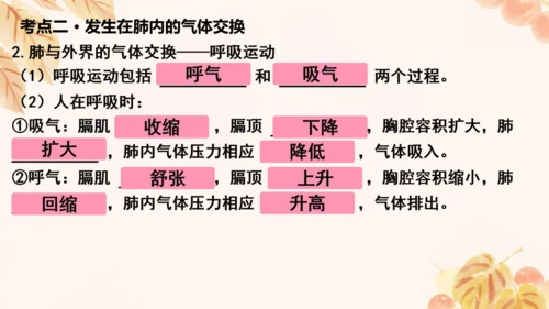 人教版（新课标）七下生物第四单元第一至三章复习课件(共34张PPT)