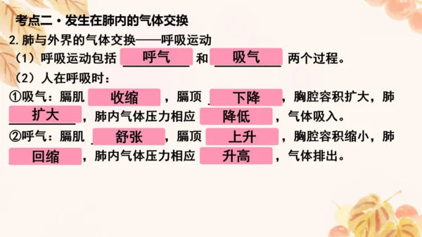 人教版（新课标）七下生物第四单元第一至三章复习课件(共34张PPT)