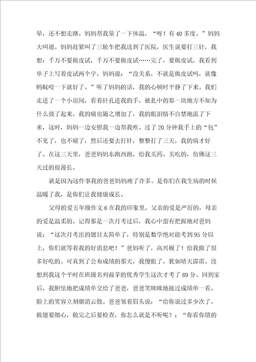 父母的爱五年级作文