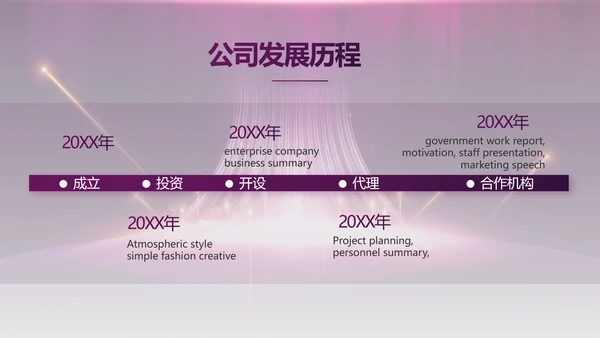 紫色公司品牌发布会策划方案工作总结PPT