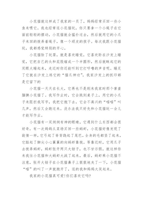 七年级下册语文考试作文.docx
