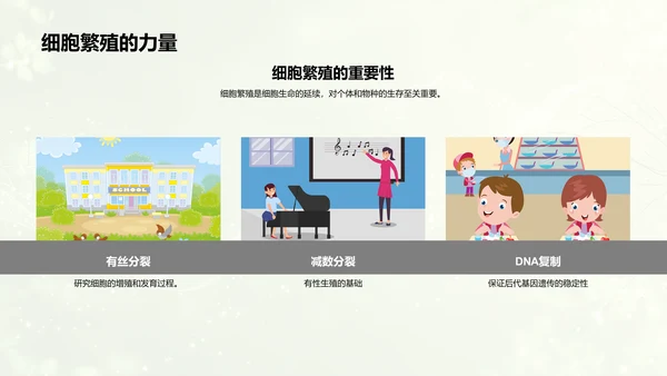 高中生物细胞学讲解