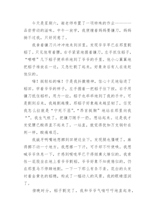 劳动的滋味作文500字.docx