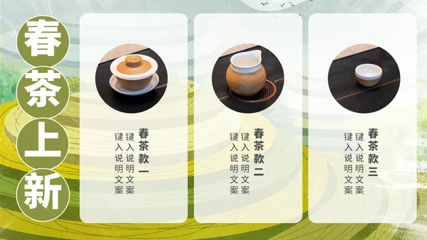 茶叶茶庄春茶产品上新介绍手册通用PPT模板