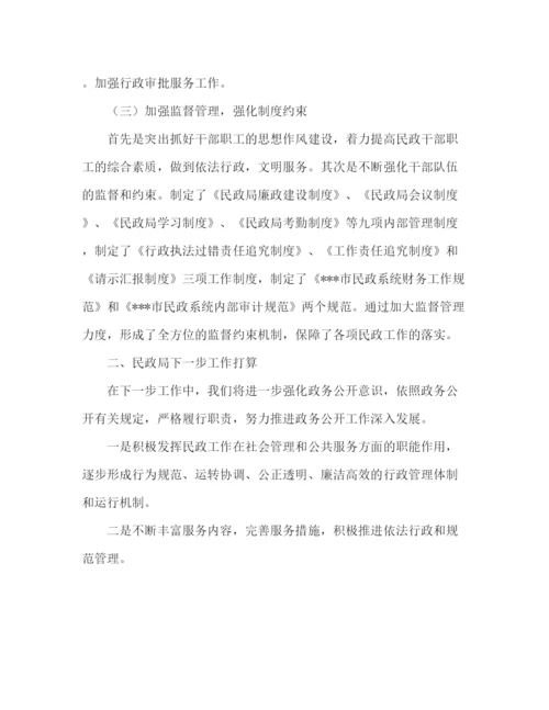 精编之民政局工作总结范文.docx