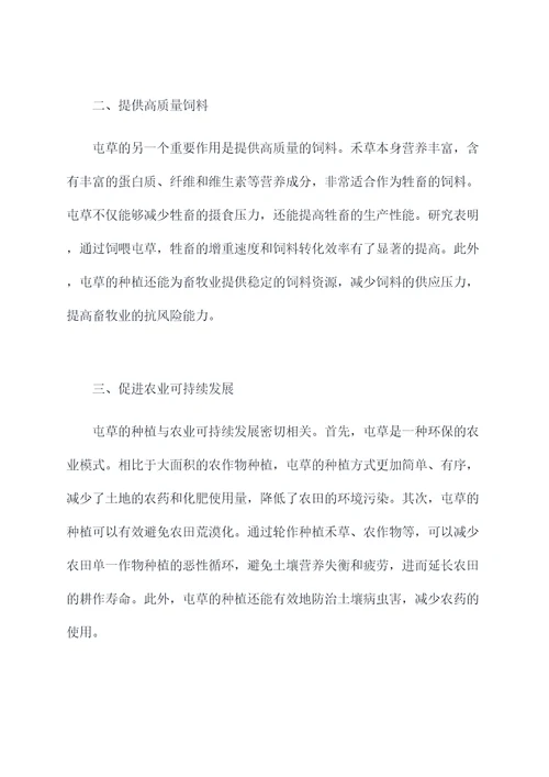 屯草的功效与作用