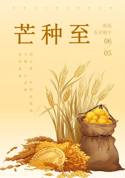 插画风芒种节气海报