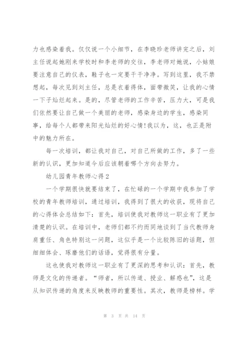 幼儿园青年教师心得5篇.docx