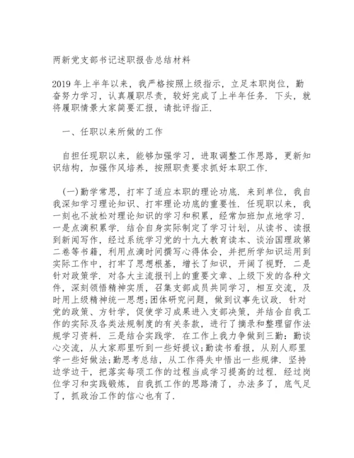 两新党支部书记述职报告总结材料.docx