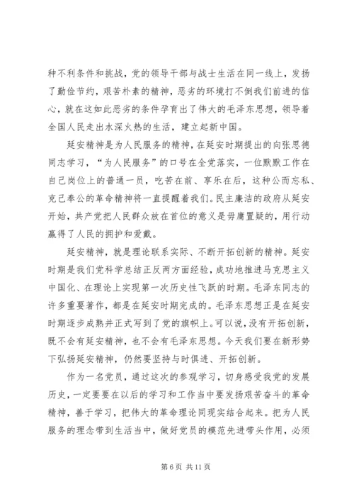 延安精神体会范文.docx