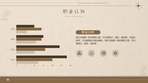 美拉德色大学生职业生涯规划PPT模板