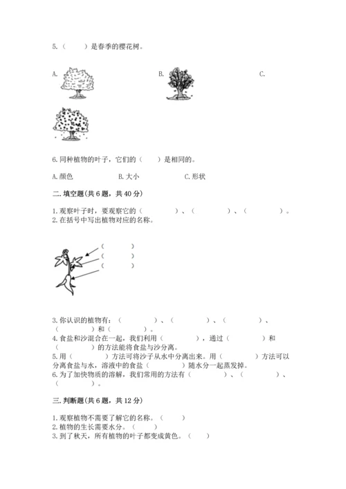 教科版科学一年级上册第一单元《植物》测试卷及参考答案（b卷）.docx