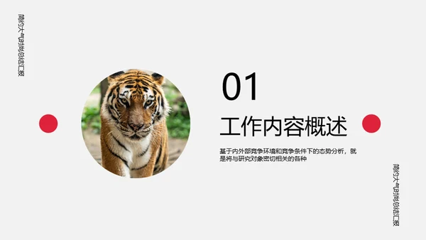 时尚虎年总结汇报通用PPT模板