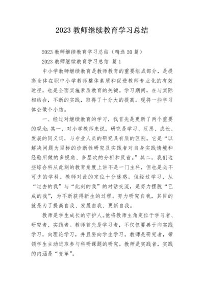 2023教师继续教育学习总结.docx