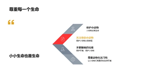 我们的小小动物园