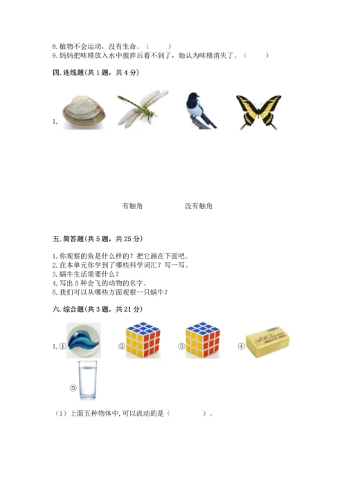 教科版一年级下册科学期末测试卷附参考答案【培优a卷】.docx