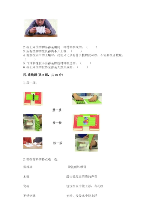教科版科学二年级上册《期末测试卷》【综合题】.docx