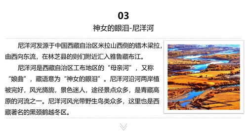 西藏印象旅行相册大牦牛通用PPT模板