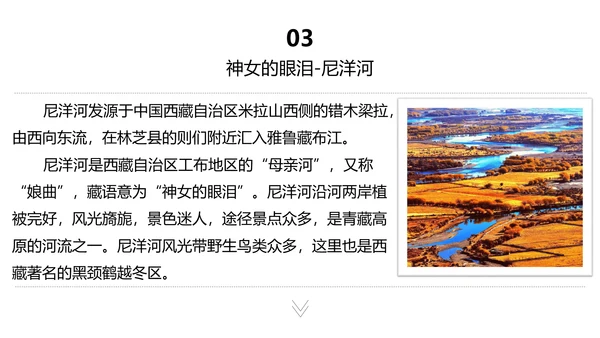 西藏印象旅行相册大牦牛通用PPT模板