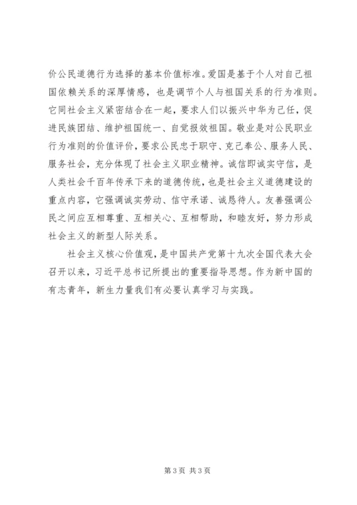 社会主义核心价值观心得体会社会主义核心价值观有感 (2).docx