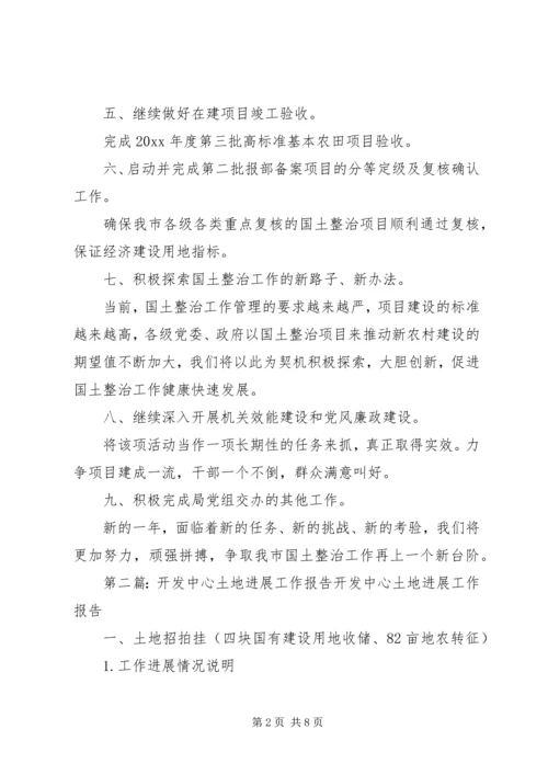 市土地开发整理中心工作计划.docx