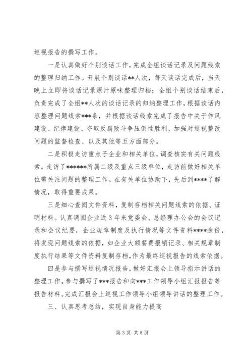 巡视巡察工作个人总结.docx