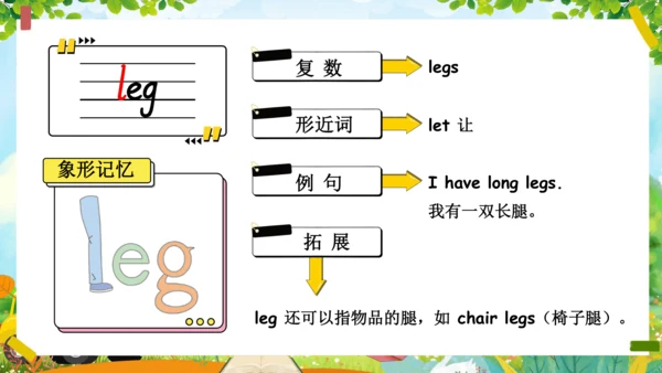 Unit 3 Look at me单词导学课件（28张PPT)